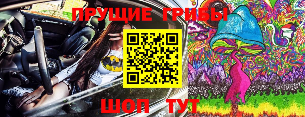 Тара  Псилоцибиновые грибы мухоморы  наркошоп  Вход с VPN 