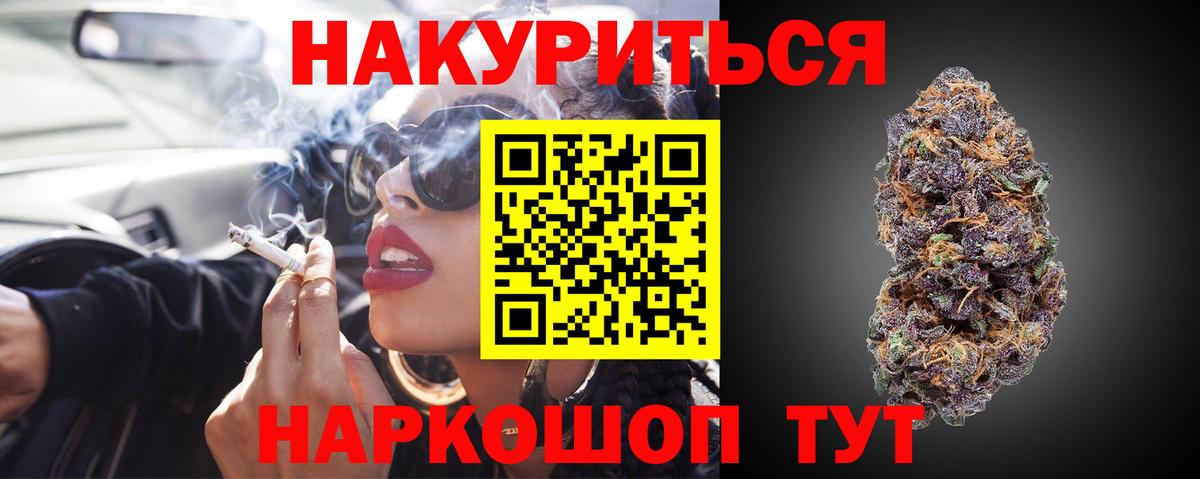Тара  Конопля планчик  Канабис SATIVA & INDICA  Вход с VPN 